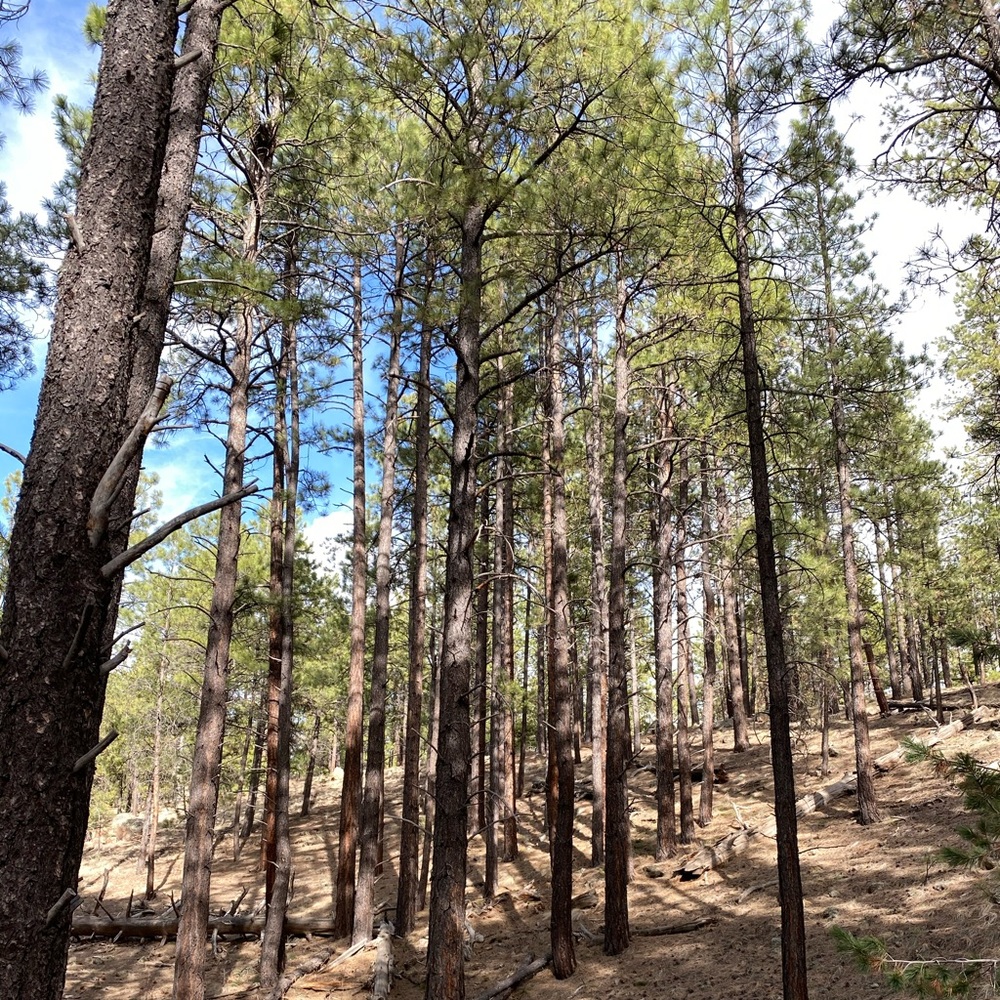 Meet your Posher, Jodie